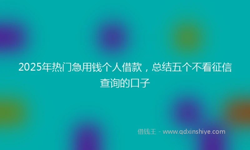 2025年热门急用钱个人借款，总结五个不看征信查询的口子