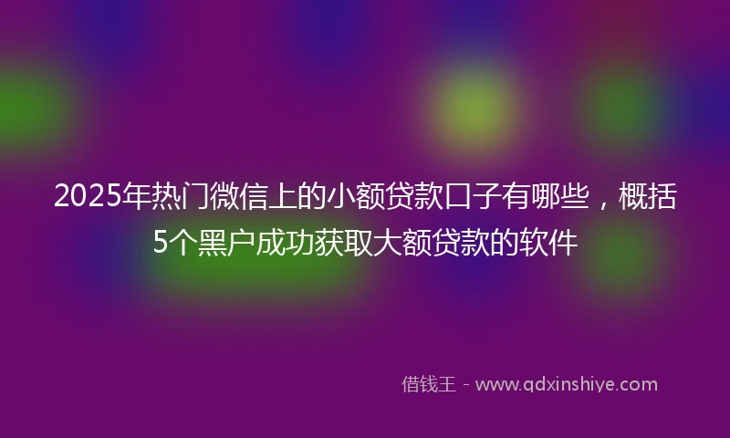 2025年热门微信上的小额贷款口子有哪些，概括5个黑户成功获取大额贷款的软件