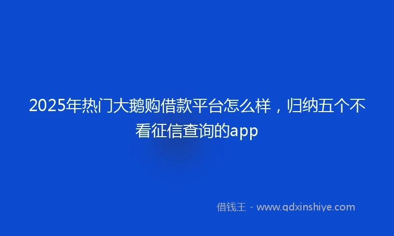 2025年热门大鹅购借款平台怎么样，归纳五个不看征信查询的app
