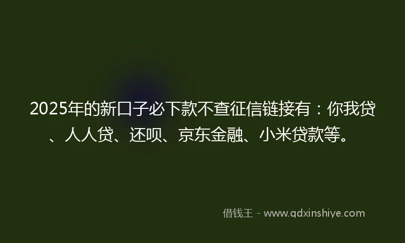 2025年的新口子必下款不查征信链接有：你我贷、人人贷、还呗、京东金融、小米贷款等。