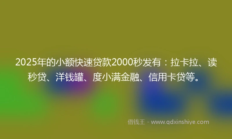2025年的小额快速贷款2000秒发有：拉卡拉、读秒贷、洋钱罐、度小满金融、信用卡贷等。