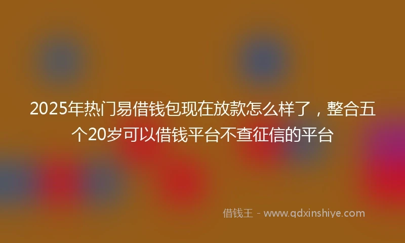 2025年热门易借钱包现在放款怎么样了，整合五个20岁可以借钱平台不查征信的平台