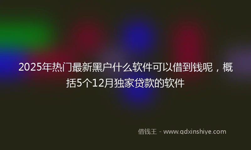 2025年热门最新黑户什么软件可以借到钱呢，概括5个12月独家贷款的软件