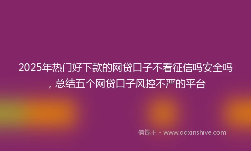 2025年热门好下款的网贷口子不看征信吗安全吗，总结五个网贷口子风控不严的平台