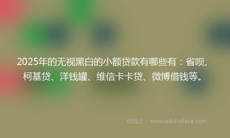 2025年的无视黑白的小额贷款有哪些有：省呗、柯基贷、洋钱罐、维信卡卡贷、微博借钱等。