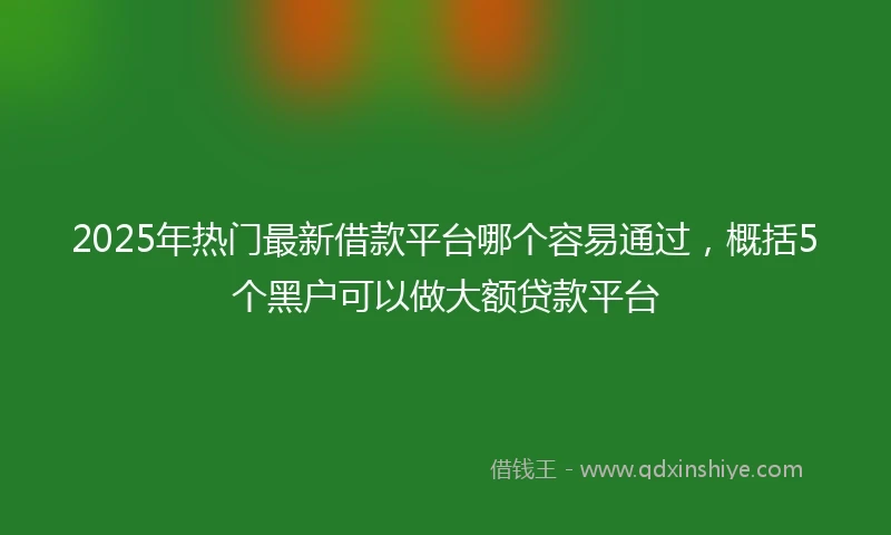 2025年热门最新借款平台哪个容易通过，概括5个黑户可以做大额贷款平台