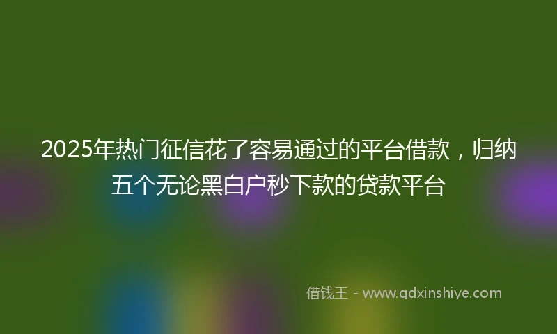 2025年热门征信花了容易通过的平台借款，归纳五个无论黑白户秒下款的贷款平台