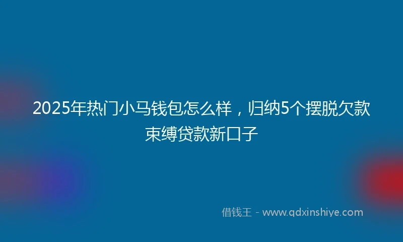2025年热门小马钱包怎么样，归纳5个摆脱欠款束缚贷款新口子