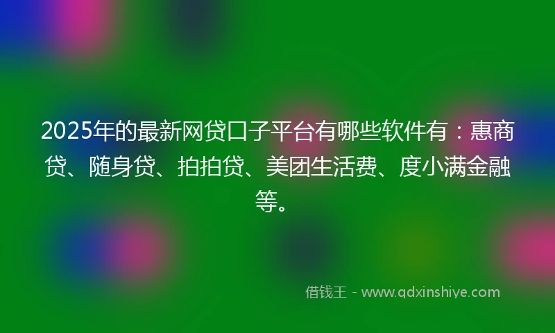 2025年的最新网贷口子平台有哪些软件有：惠商贷、随身贷、拍拍贷、美团生活费、度小满金融等。