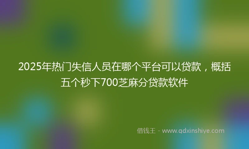 2025年热门失信人员在哪个平台可以贷款，概括五个秒下700芝麻分贷款软件
