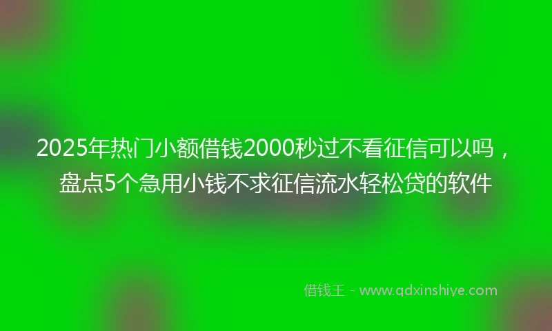 2025年热门小额借钱2000秒过不看征信可以吗，盘点5个急用小钱不求征信流水轻松贷的软件