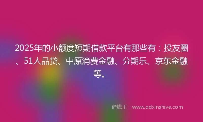 2025年的小额度短期借款平台有那些有：投友圈、51人品贷、中原消费金融、分期乐、京东金融等。