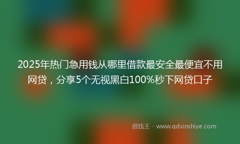 2025年热门急用钱从哪里借款最安全最便宜不用网贷，分享5个无视黑白100%秒下网贷口子
