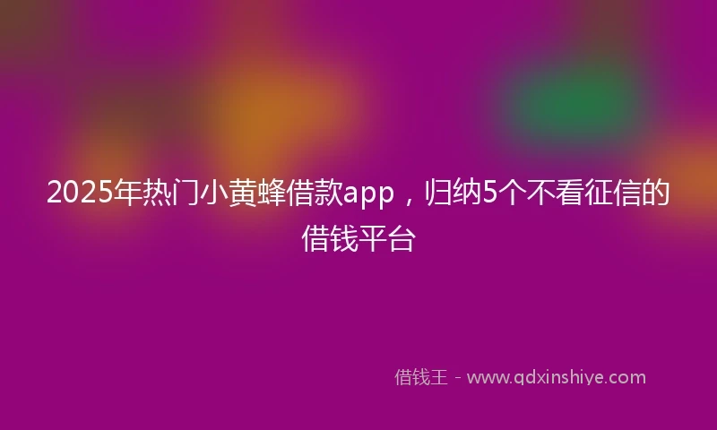 2025年热门小黄蜂借款app，归纳5个不看征信的借钱平台