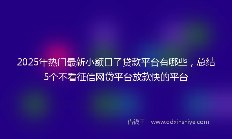 2025年热门最新小额口子贷款平台有哪些，总结5个不看征信网贷平台放款快的平台