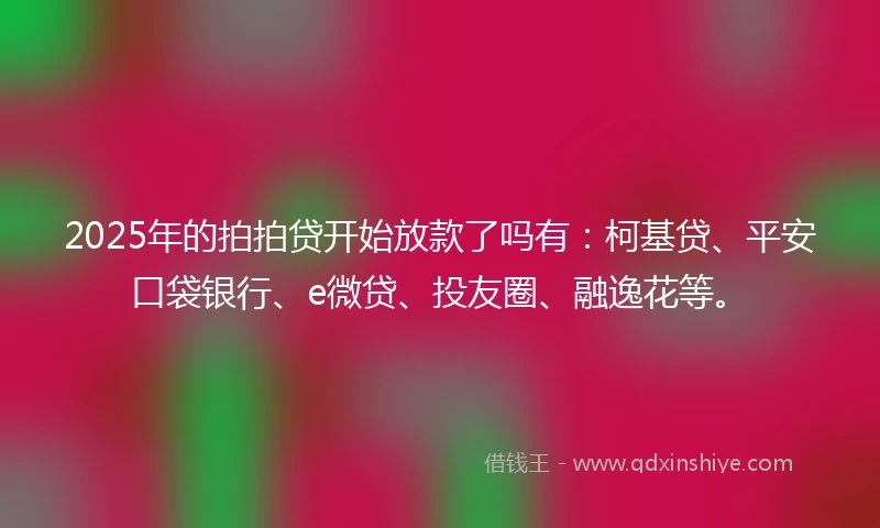 2025年的拍拍贷开始放款了吗有：柯基贷、平安口袋银行、e微贷、投友圈、融逸花等。