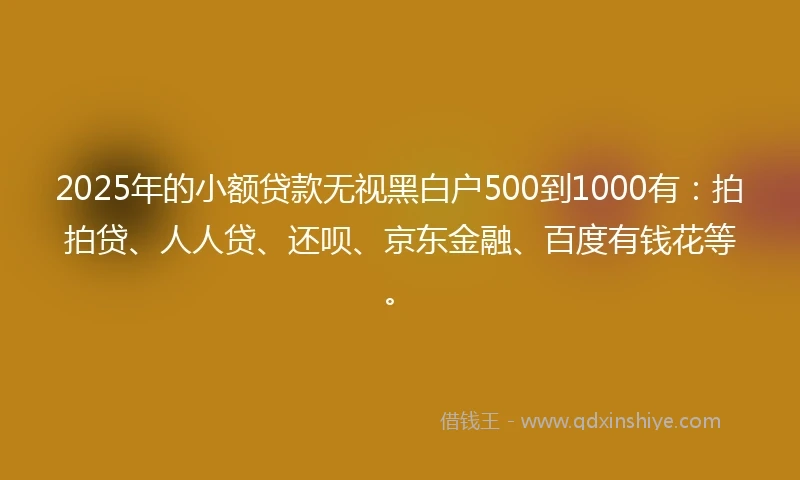 2025年的小额贷款无视黑白户500到1000有：拍拍贷、人人贷、还呗、京东金融、百度有钱花等。