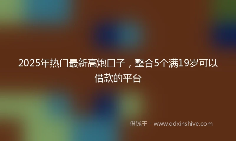 2025年热门最新高炮口子，整合5个满19岁可以借款的平台