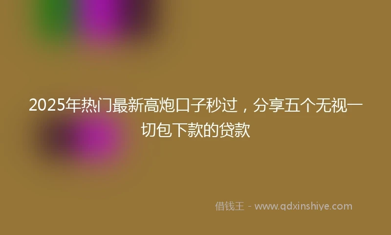 2025年热门最新高炮口子秒过，分享五个无视一切包下款的贷款