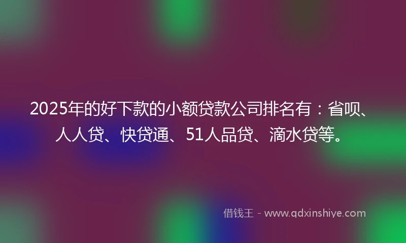 2025年的好下款的小额贷款公司排名有：省呗、人人贷、快贷通、51人品贷、滴水贷等。