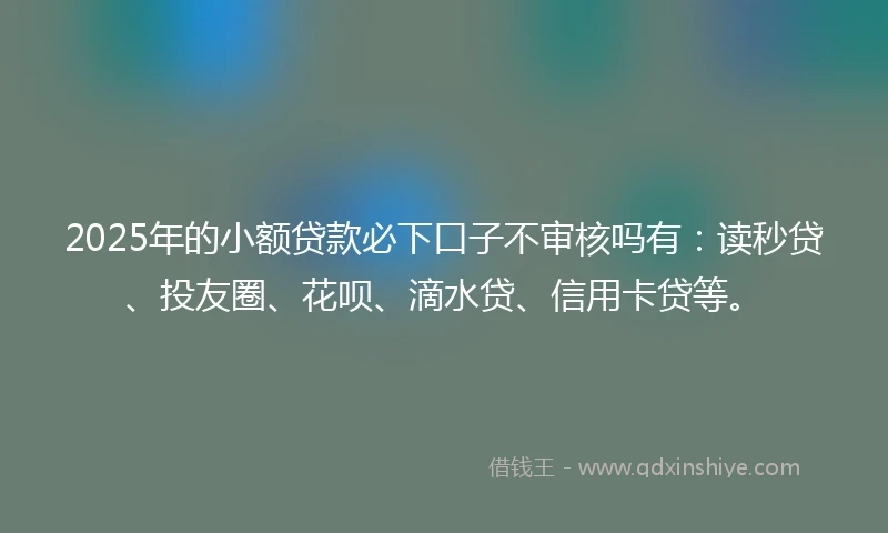 2025年的小额贷款必下口子不审核吗有：读秒贷、投友圈、花呗、滴水贷、信用卡贷等。