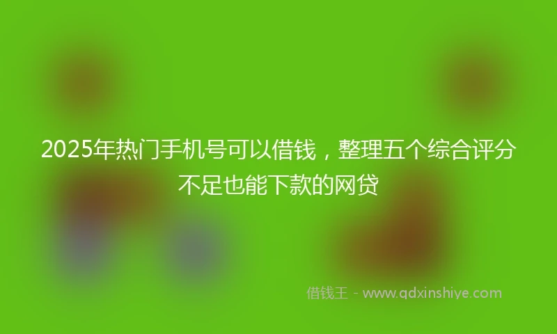 2025年热门手机号可以借钱，整理五个综合评分不足也能下款的网贷