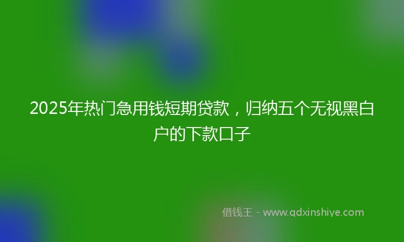 2025年热门急用钱短期贷款，归纳五个无视黑白户的下款口子