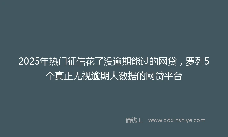 2025年热门征信花了没逾期能过的网贷，罗列5个真正无视逾期大数据的网贷平台