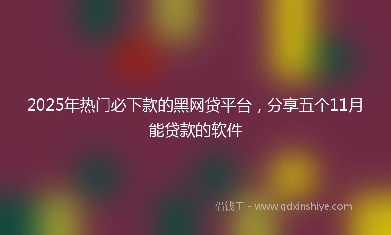 2025年热门必下款的黑网贷平台，分享五个11月能贷款的软件