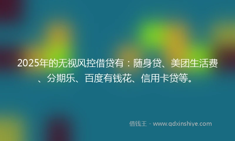 2025年的无视风控借贷有：随身贷、美团生活费、分期乐、百度有钱花、信用卡贷等。