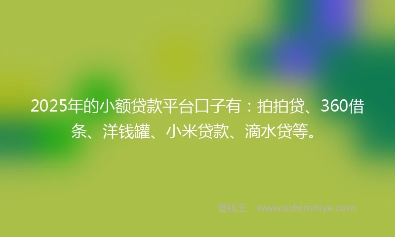 2025年的小额贷款平台口子有：拍拍贷、360借条、洋钱罐、小米贷款、滴水贷等。