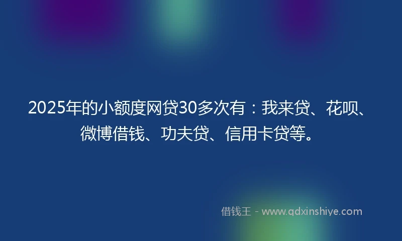 2025年的小额度网贷30多次有：我来贷、花呗、微博借钱、功夫贷、信用卡贷等。