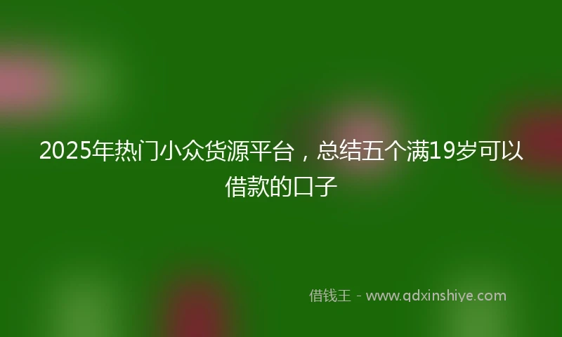 2025年热门小众货源平台，总结五个满19岁可以借款的口子