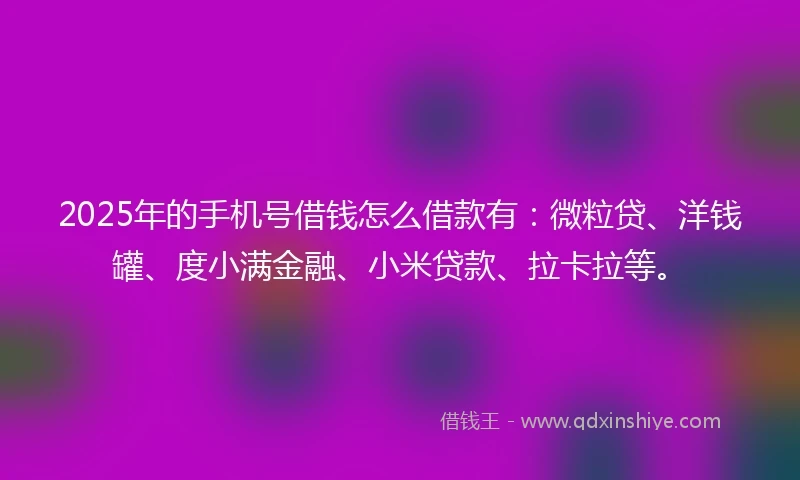 2025年的手机号借钱怎么借款有：微粒贷、洋钱罐、度小满金融、小米贷款、拉卡拉等。