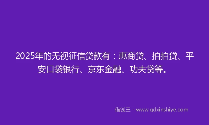 2025年的无视征信贷款有：惠商贷、拍拍贷、平安口袋银行、京东金融、功夫贷等。