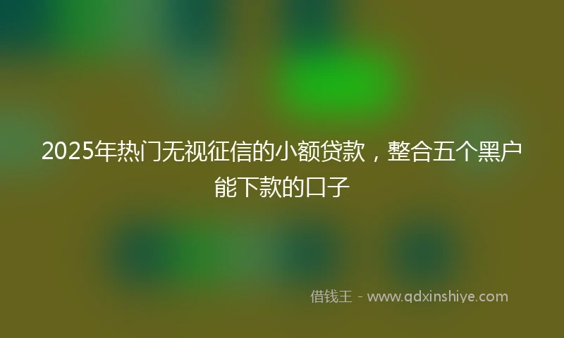 2025年热门无视征信的小额贷款，整合五个黑户能下款的口子
