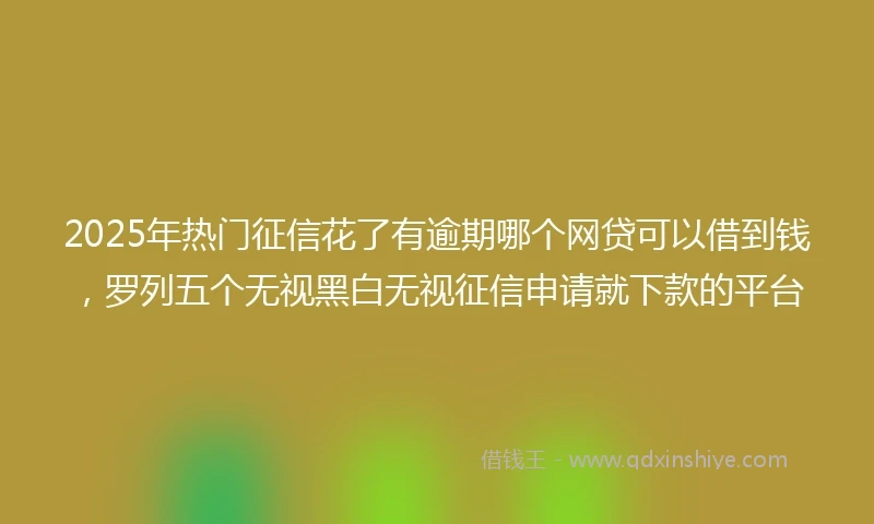 2025年热门征信花了有逾期哪个网贷可以借到钱，罗列五个无视黑白无视征信申请就下款的平台