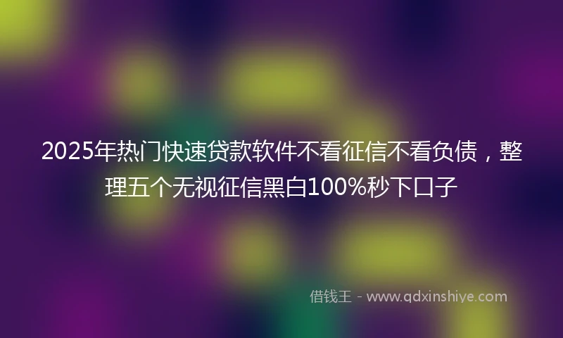 2025年热门快速贷款软件不看征信不看负债，整理五个无视征信黑白100%秒下口子