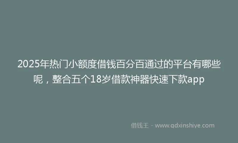 2025年热门小额度借钱百分百通过的平台有哪些呢，整合五个18岁借款神器快速下款app