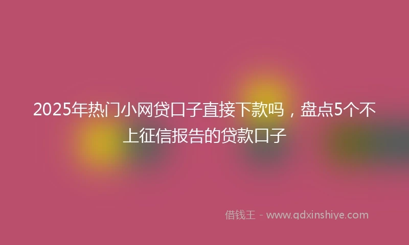 2025年热门小网贷口子直接下款吗，盘点5个不上征信报告的贷款口子