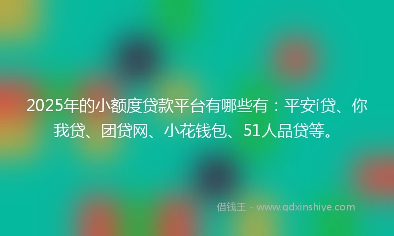 2025年的小额度贷款平台有哪些有：平安i贷、你我贷、团贷网、小花钱包、51人品贷等。