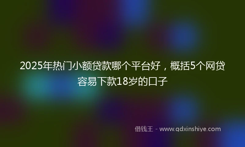2025年热门小额贷款哪个平台好，概括5个网贷容易下款18岁的口子