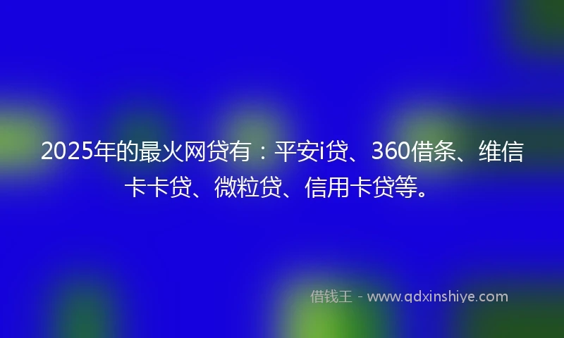 2025年的最火网贷有：平安i贷、360借条、维信卡卡贷、微粒贷、信用卡贷等。