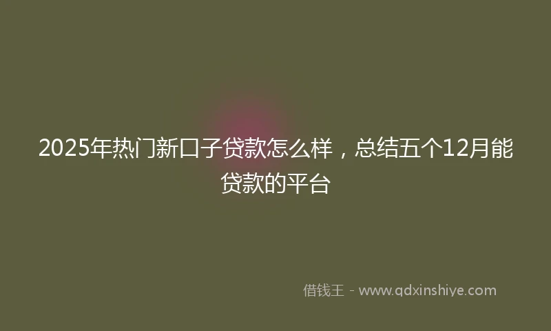 2025年热门新口子贷款怎么样，总结五个12月能贷款的平台