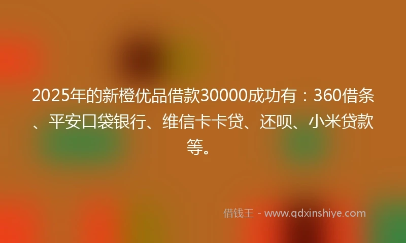 2025年的新橙优品借款30000成功有：360借条、平安口袋银行、维信卡卡贷、还呗、小米贷款等。