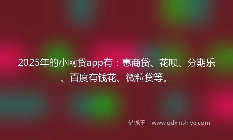 2025年的小网贷app有：惠商贷、花呗、分期乐、百度有钱花、微粒贷等。