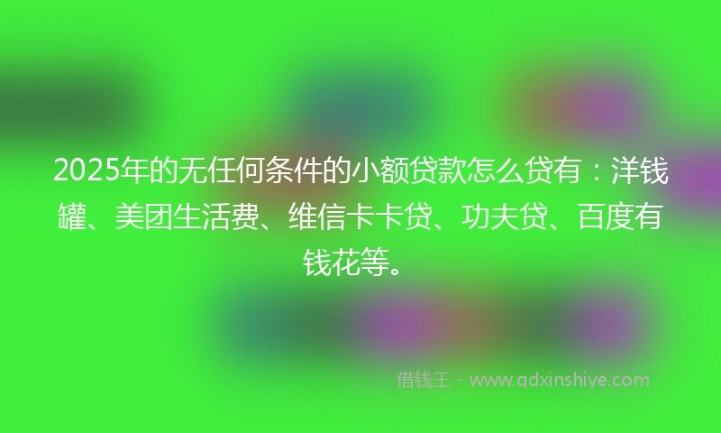2025年的无任何条件的小额贷款怎么贷有：洋钱罐、美团生活费、维信卡卡贷、功夫贷、百度有钱花等。
