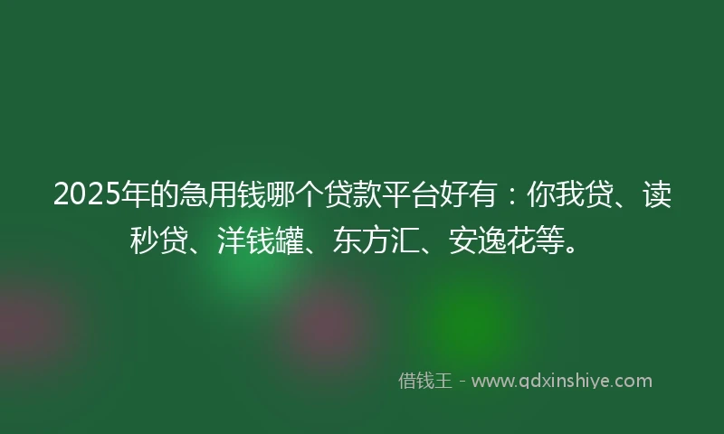 2025年的急用钱哪个贷款平台好有：你我贷、读秒贷、洋钱罐、东方汇、安逸花等。