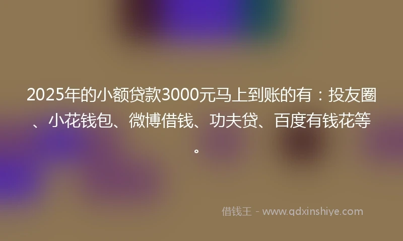 2025年的小额贷款3000元马上到账的有：投友圈、小花钱包、微博借钱、功夫贷、百度有钱花等。