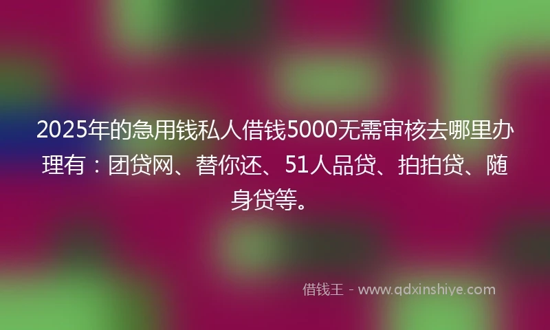 2025年的急用钱私人借钱5000无需审核去哪里办理有：团贷网、替你还、51人品贷、拍拍贷、随身贷等。